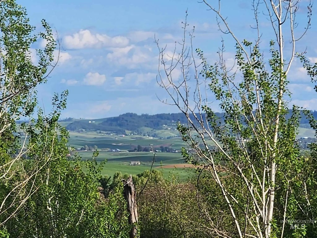 Tbd Ken Trail, Moscow