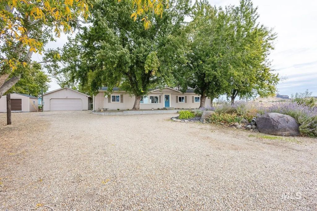 8262 Snake, Caldwell