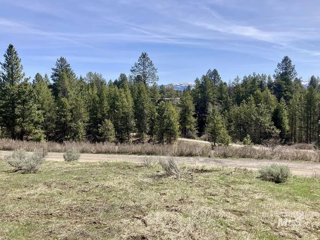 269 Moon Drive, McCall