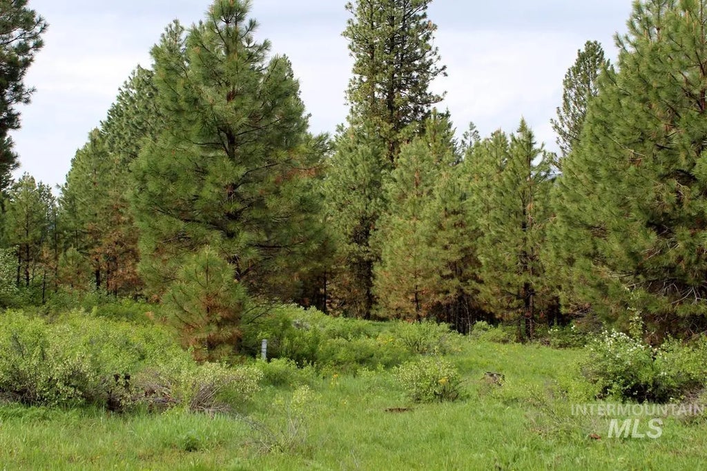 9 Kayla Way, Cascade