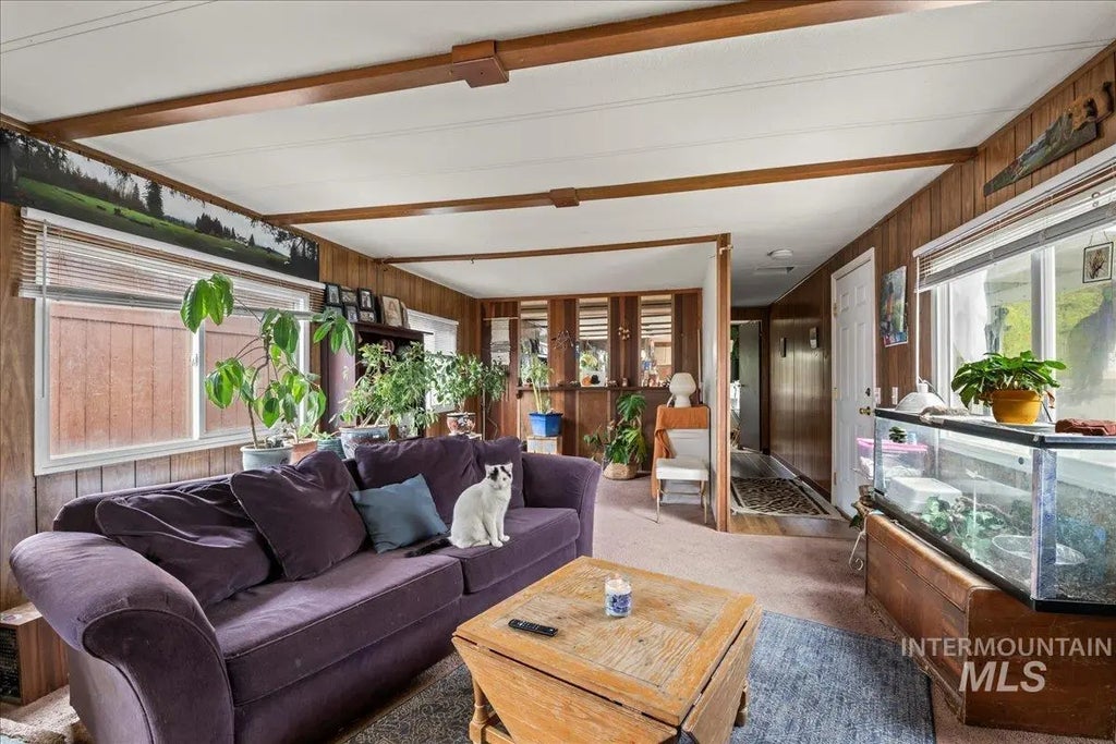 4213 Ray, Garden City