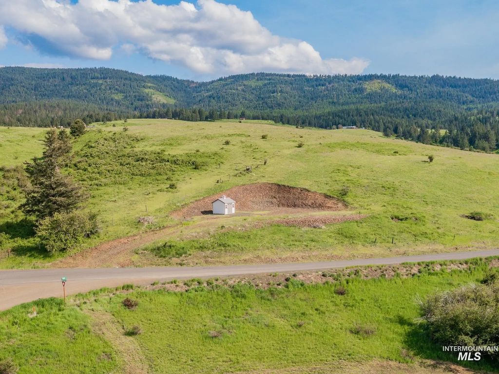 2937 Old White Bird Hill Rd., Grangeville