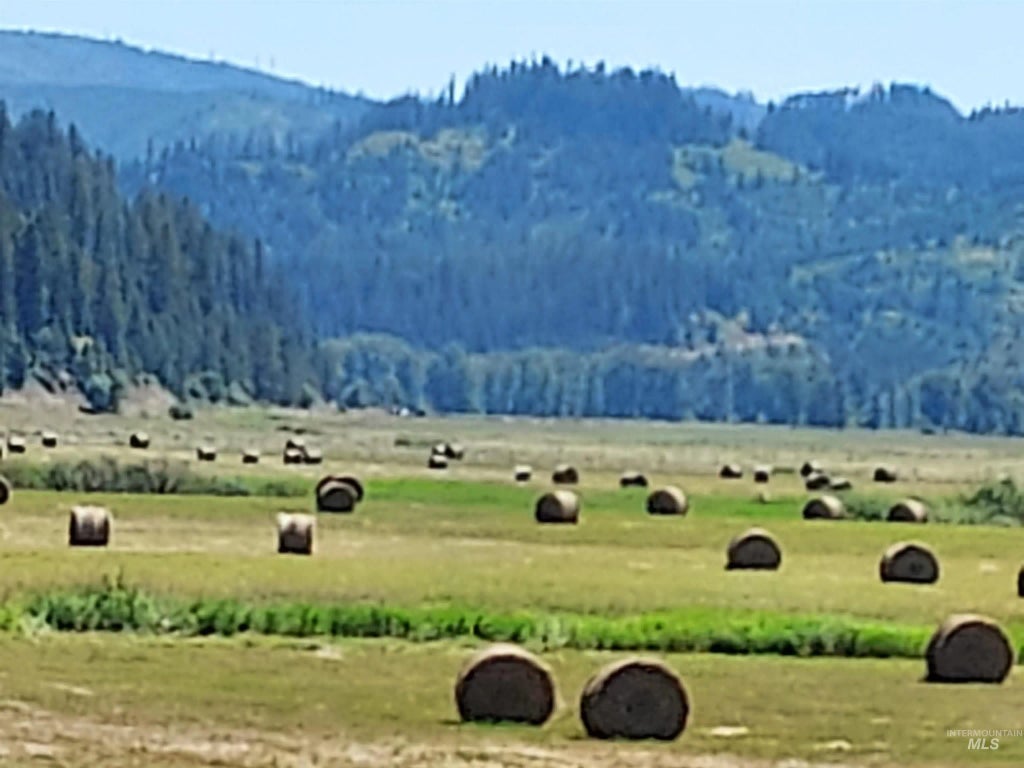 12412 St Joe River Rd, St. Maries