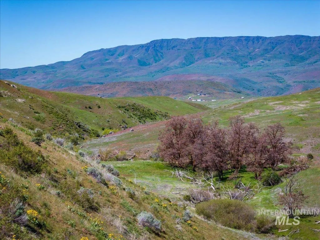 277 Acres Timber Butte Rd, Sweet