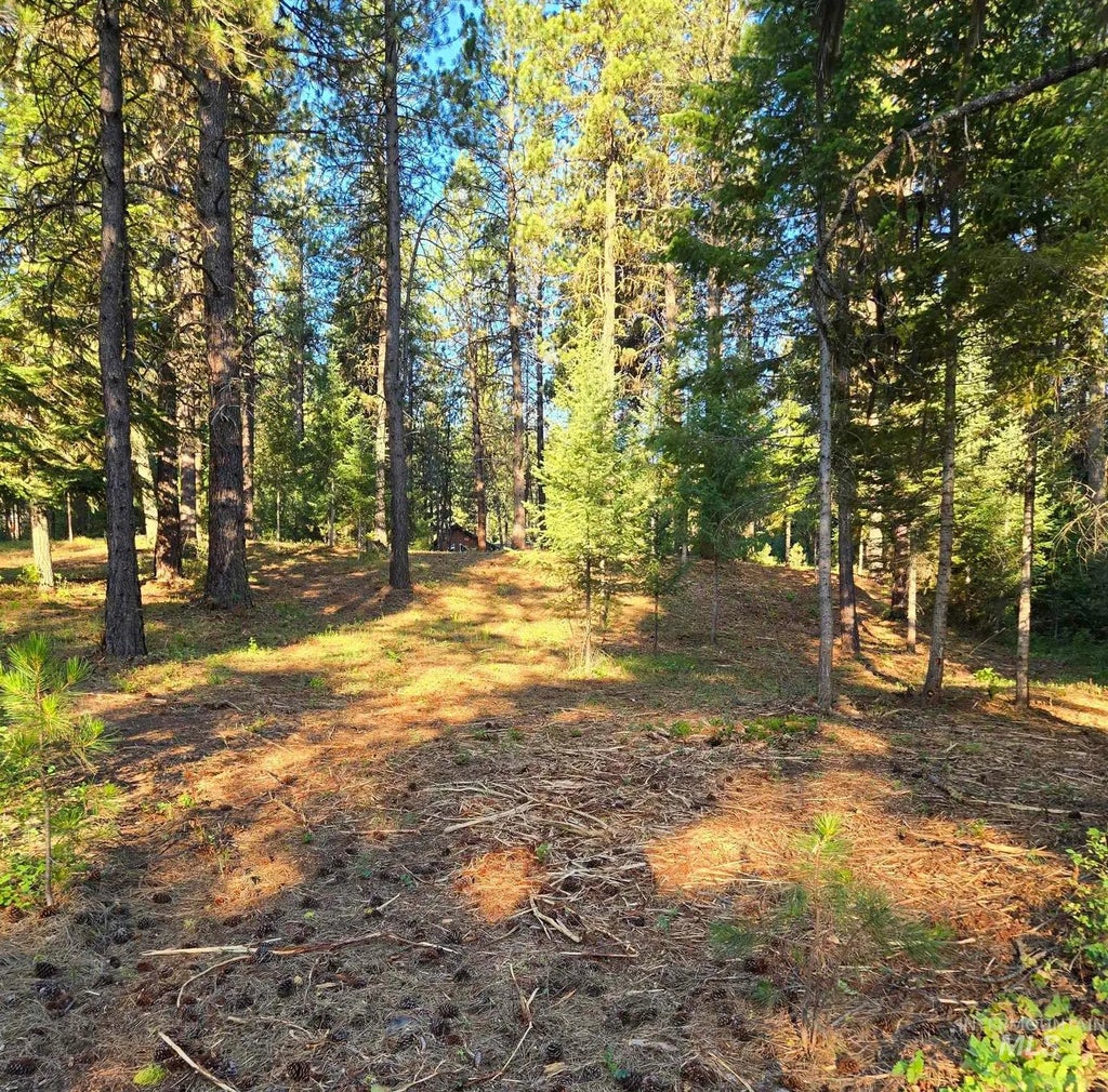 Tbd Sorrel, New Meadows