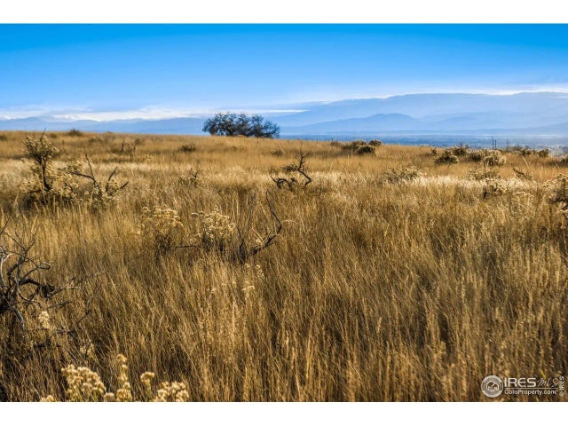 7923 County Road 84, Fort Collins