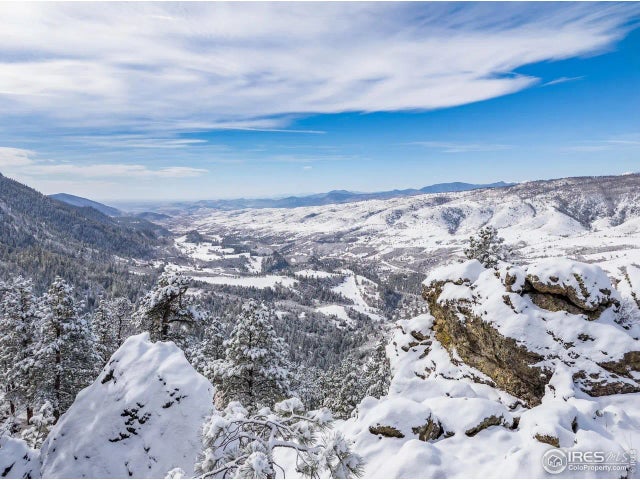 9316 Tawny Lynx Rd, Loveland