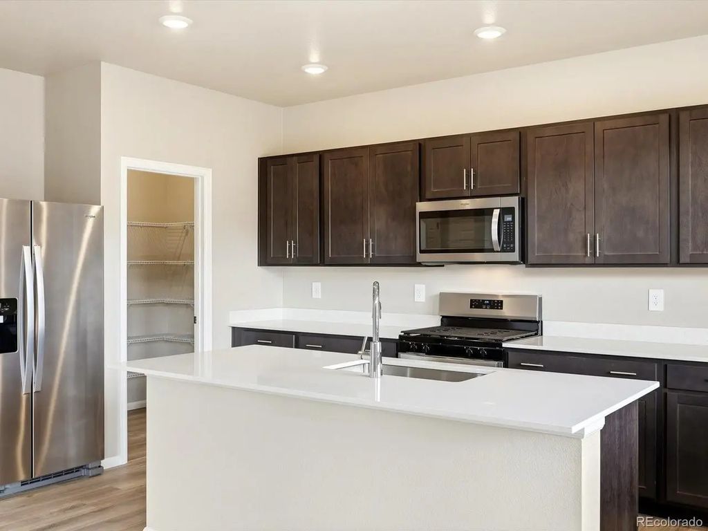 1679 Yampa River Dr, Windsor