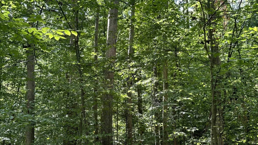 5 Reynolds Road, Coal City