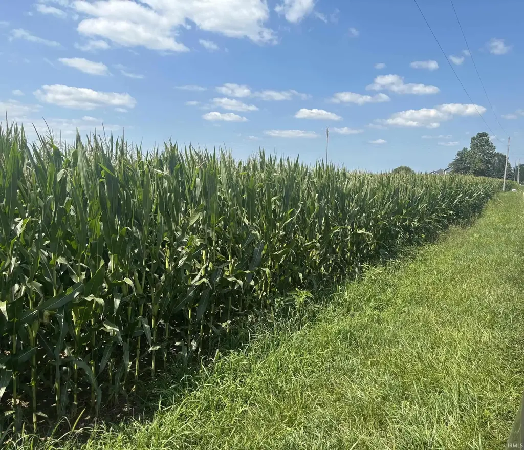 W Cr 1300 North, Gaston