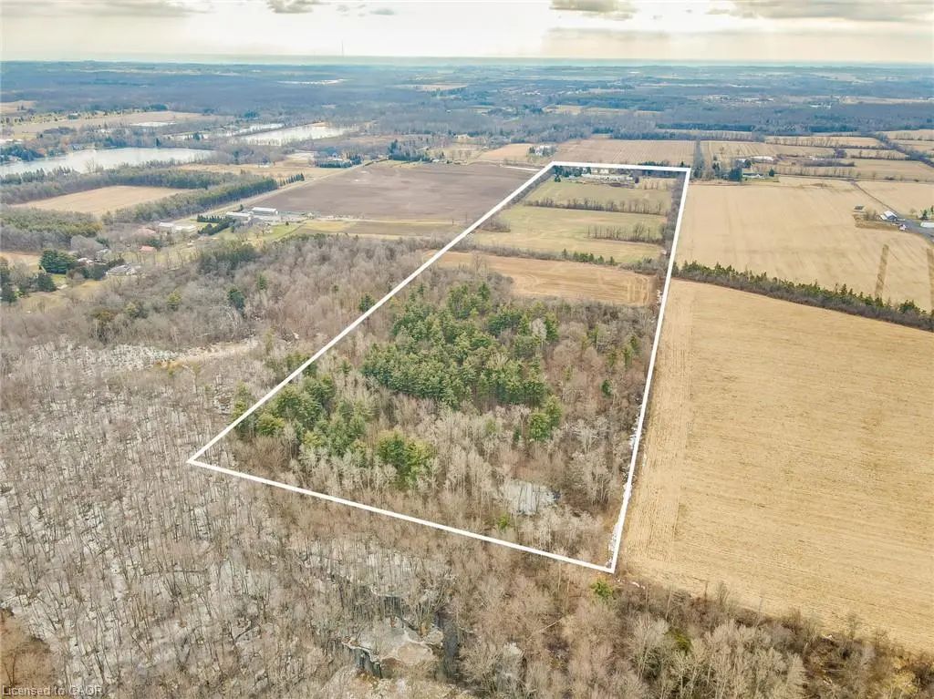 875 Safari Road, Hamilton