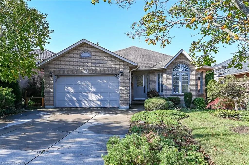 37 Glenhollow Drive, Hamilton