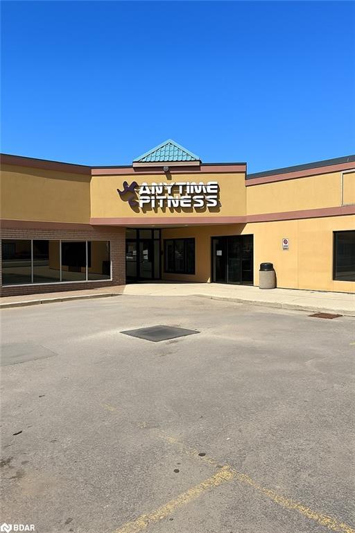 3 Massey Street 12a, Angus