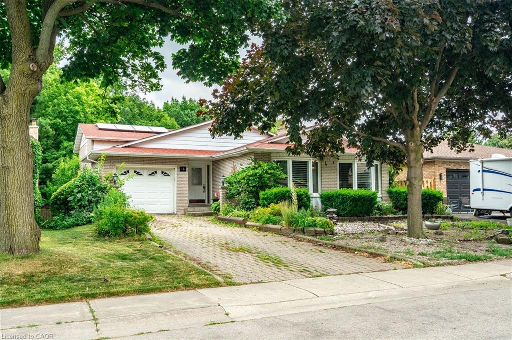 16 Flamingo Drive, Hamilton