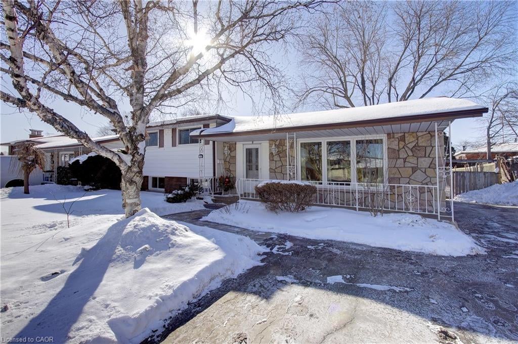 8 Jeanette Street, Hamilton