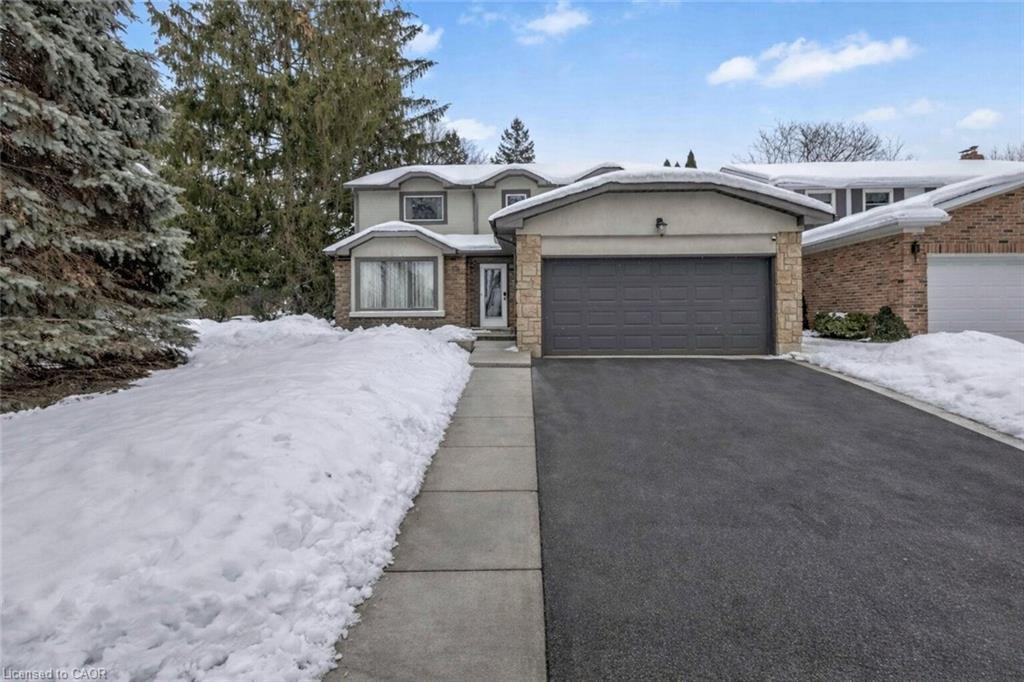 19 Fieldgate Street, Dundas