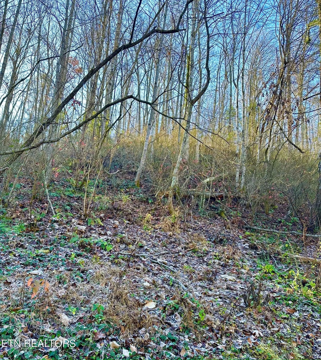 Manis Hollow Rd, Gatlinburg