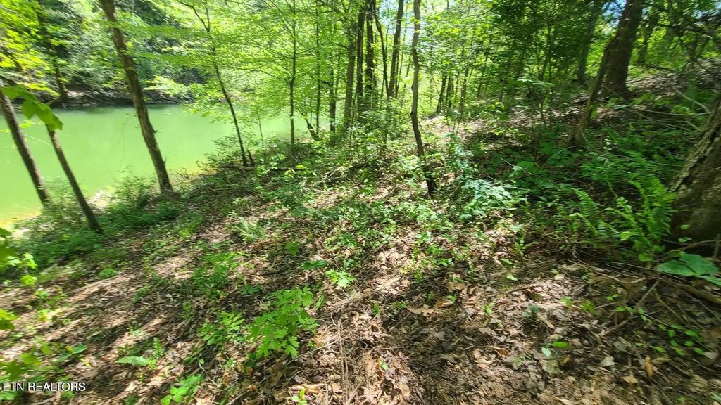 Lot 117a Claiborne Rd, LaFollette