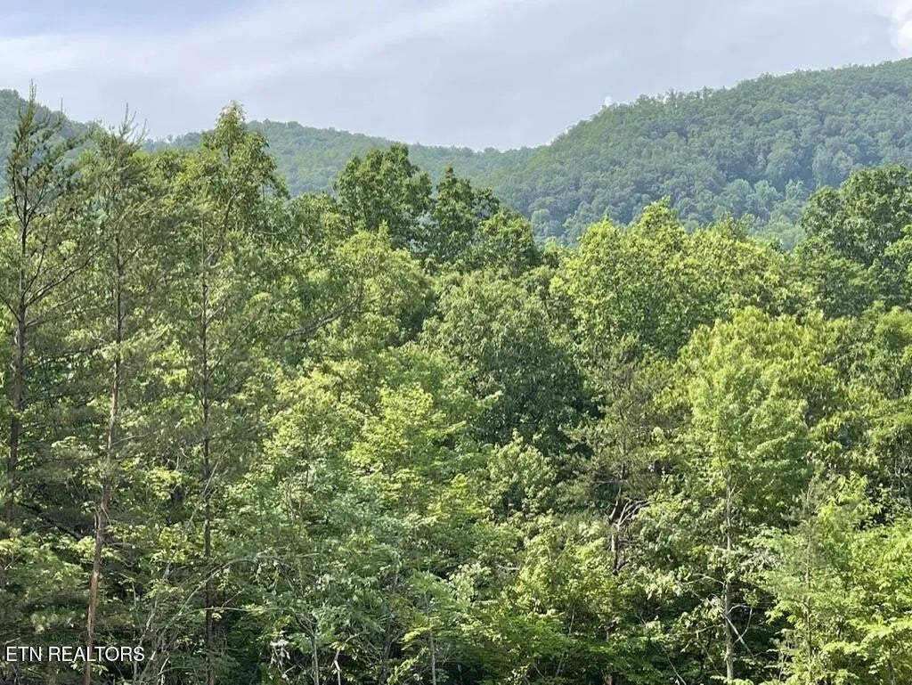 Tr 5 Caney Creek (land Only) Rd, Pigeon Forge