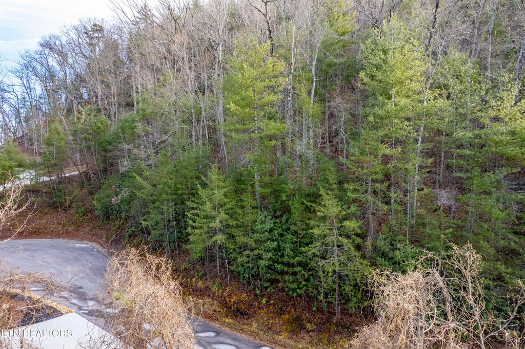 514 Chetola Tr, Townsend