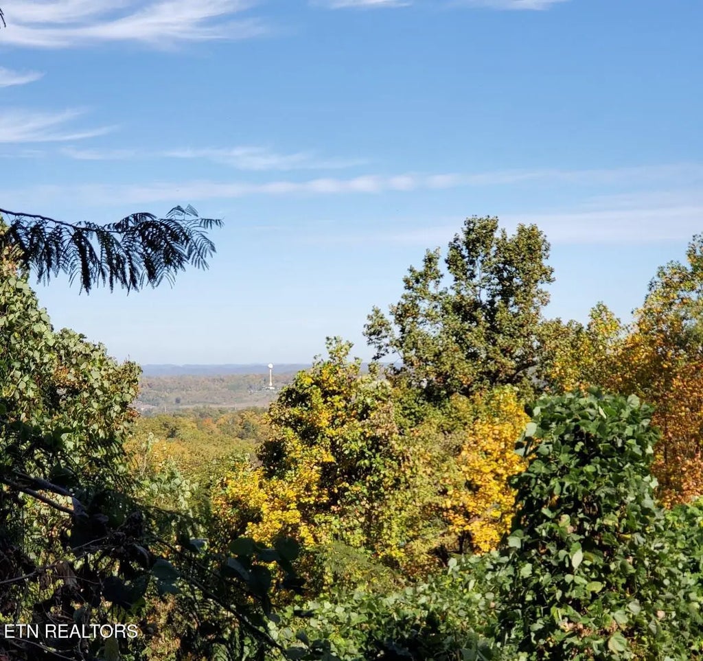 Lot 34r Pine Peak Way, Pigeon Forge