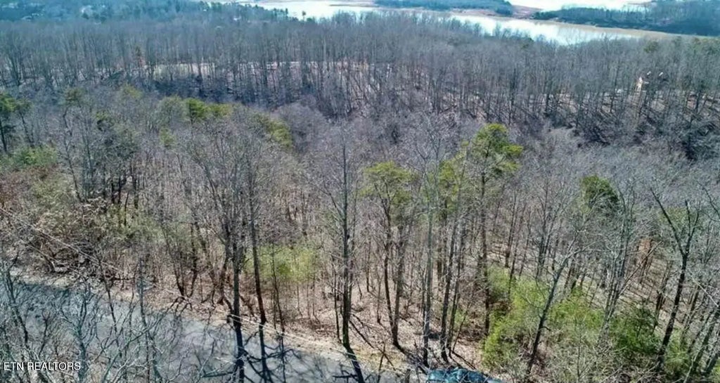 1410 Echota Lane, Mooresburg