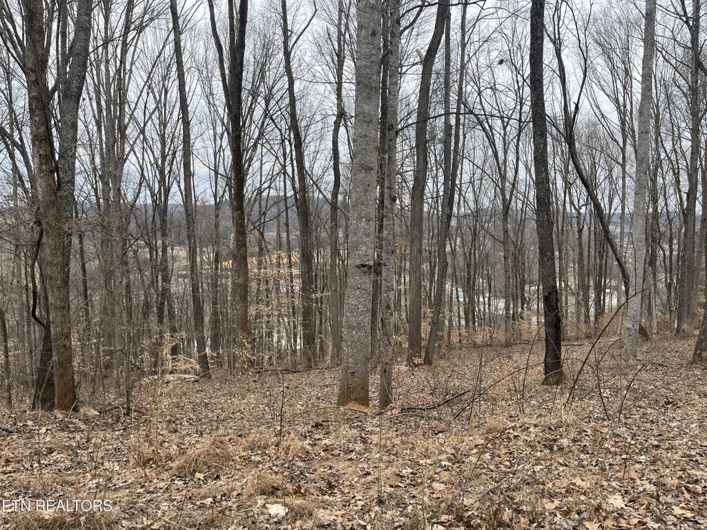 147 Chestnut Hill Rd Rd, Livingston