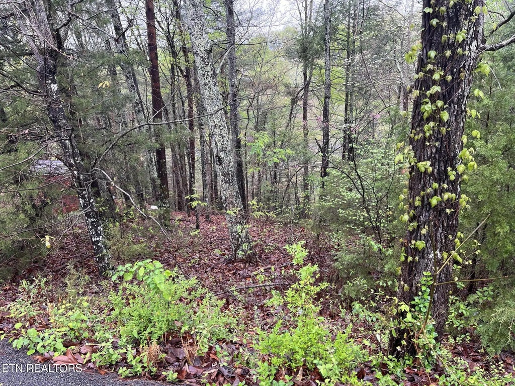 Lot 1 Mountain View Drive, Pigeon Forge