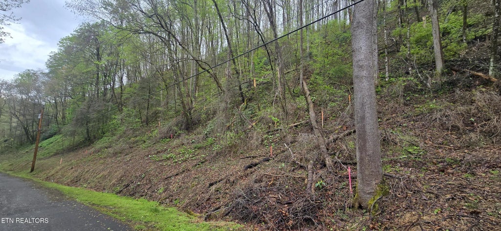 Black Walnut Flats Rd, Sevierville