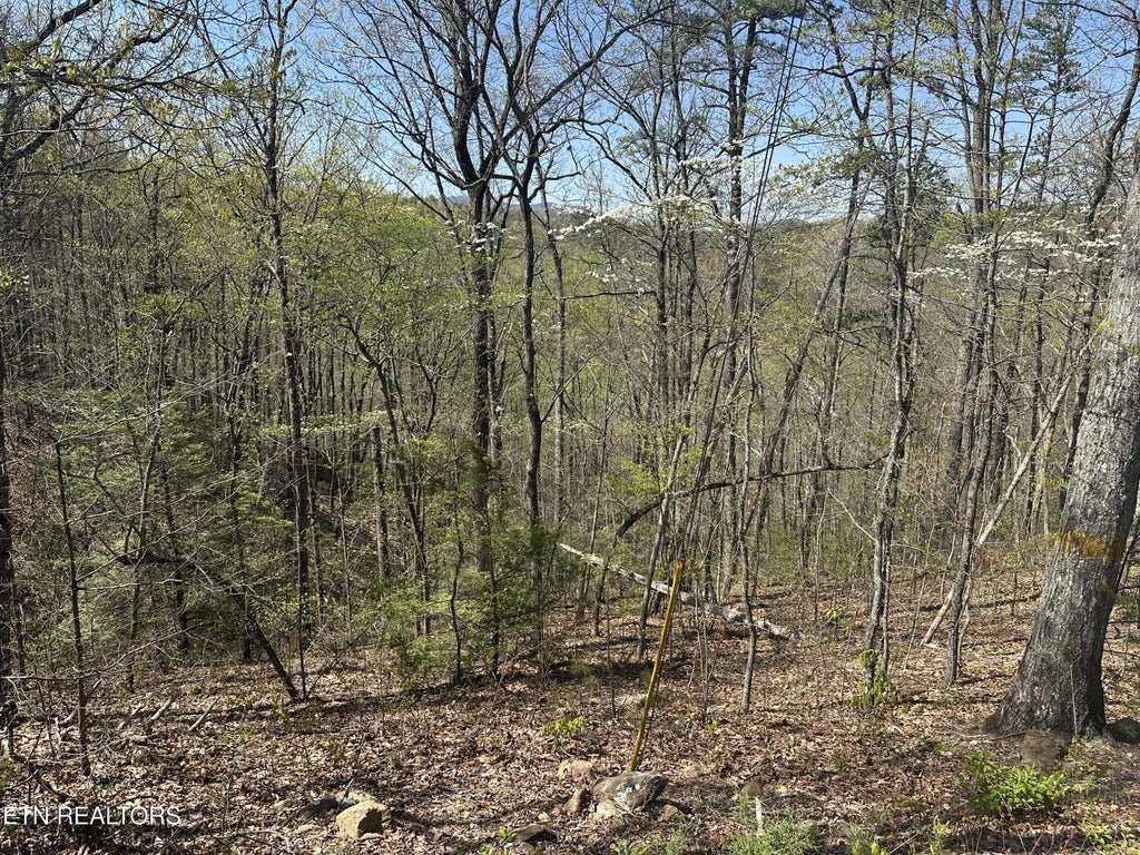 1532 Mountain Dreams Way, Pigeon Forge