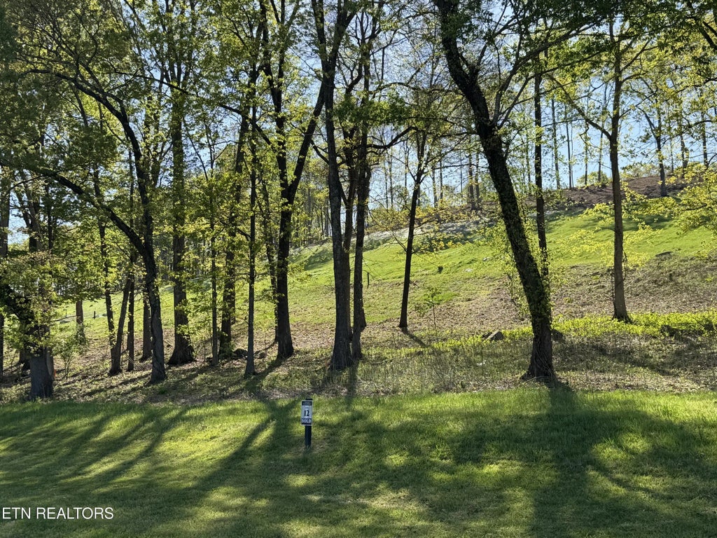 1031 Black Cove Lane, Loudon