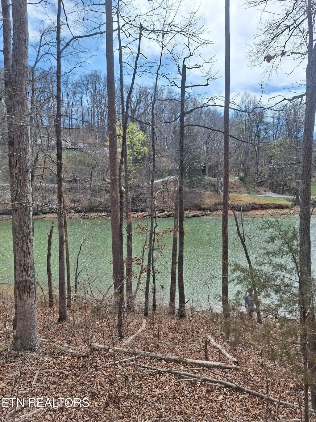 13136 George Lovelace Lane, Knoxville