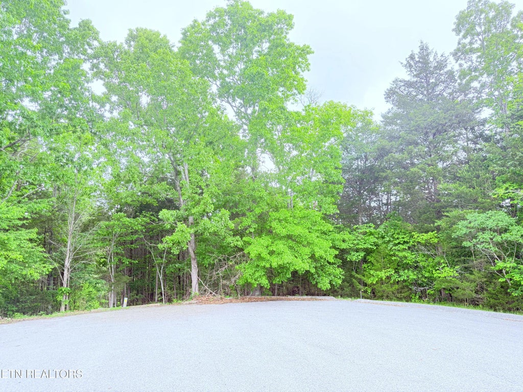 Divot Place, New Tazewell