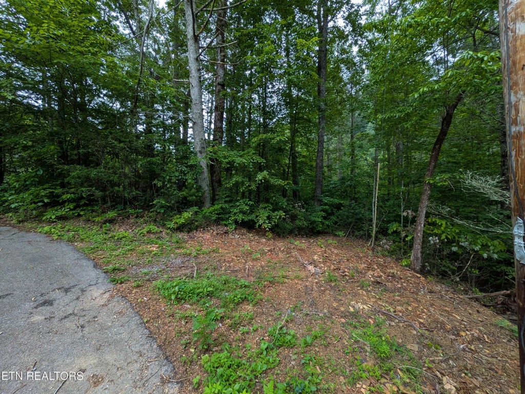 438 Kurt's Corner Rd, Townsend