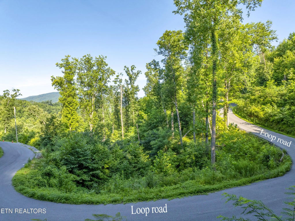 Loop Rd, Gatlinburg