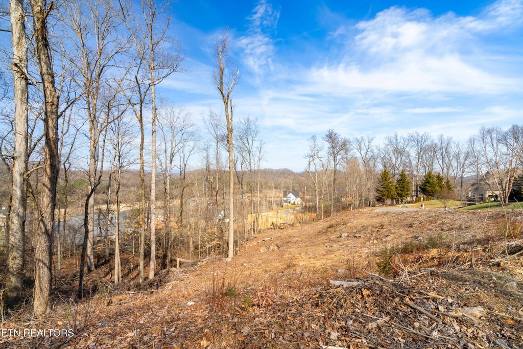 200 Windswept Drive, Lenoir City