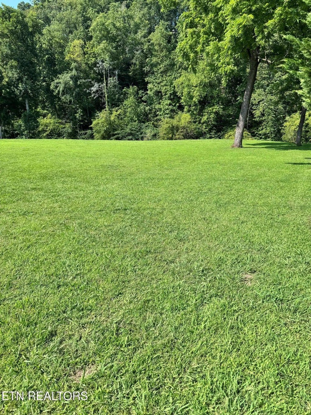 River Bank Rd, Pigeon Forge