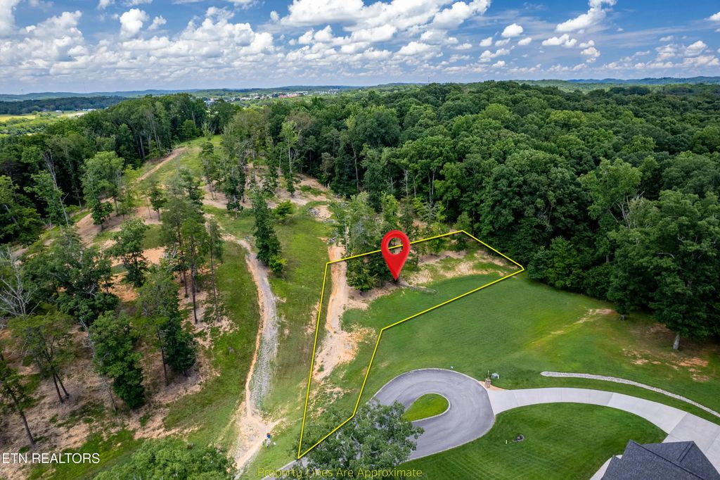 Lot 2 County Rd. 7004/7005, Athens