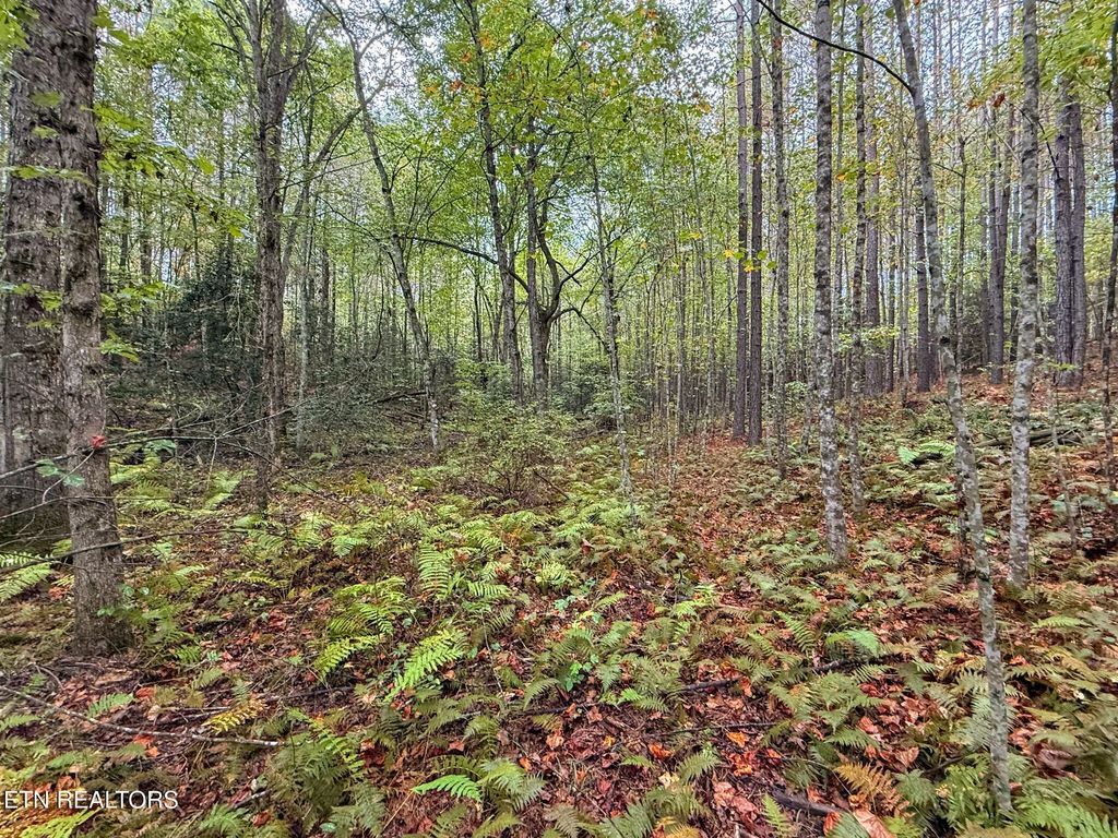 Lot 26 Airport Rd, Rockwood