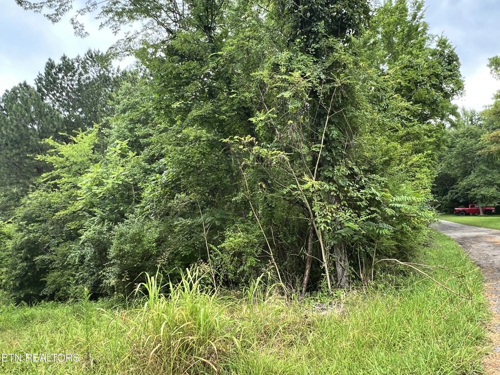 Lot 2 Prigmore Ridge Rd, Decatur