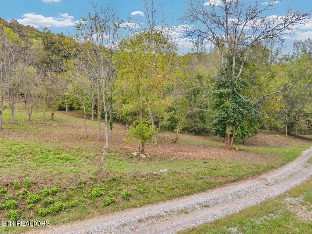 21.03 Ac Watts Hollow Rd, Buffalo Valley