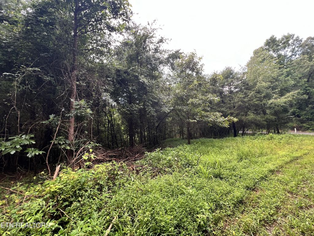 Lot 1 Prigmore Ridge Rd, Decatur