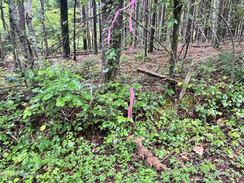 Lot 4 Prigmore Ridge Rd, Decatur