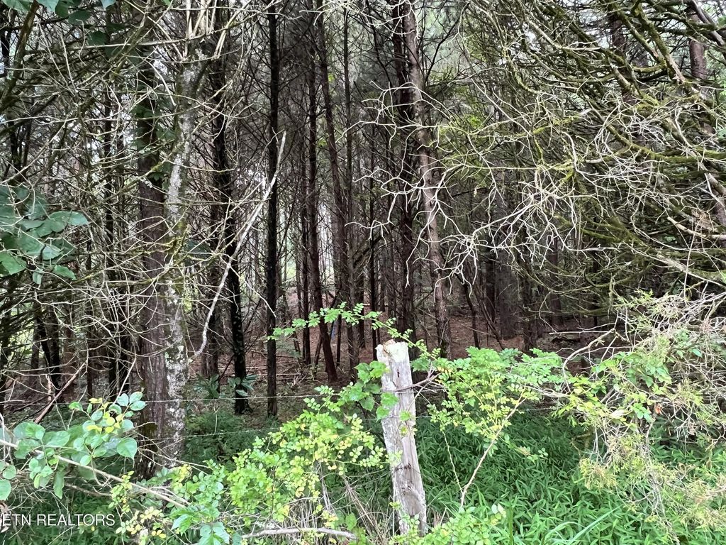 Lot 6 Willie Prigmore Rd, Decatur