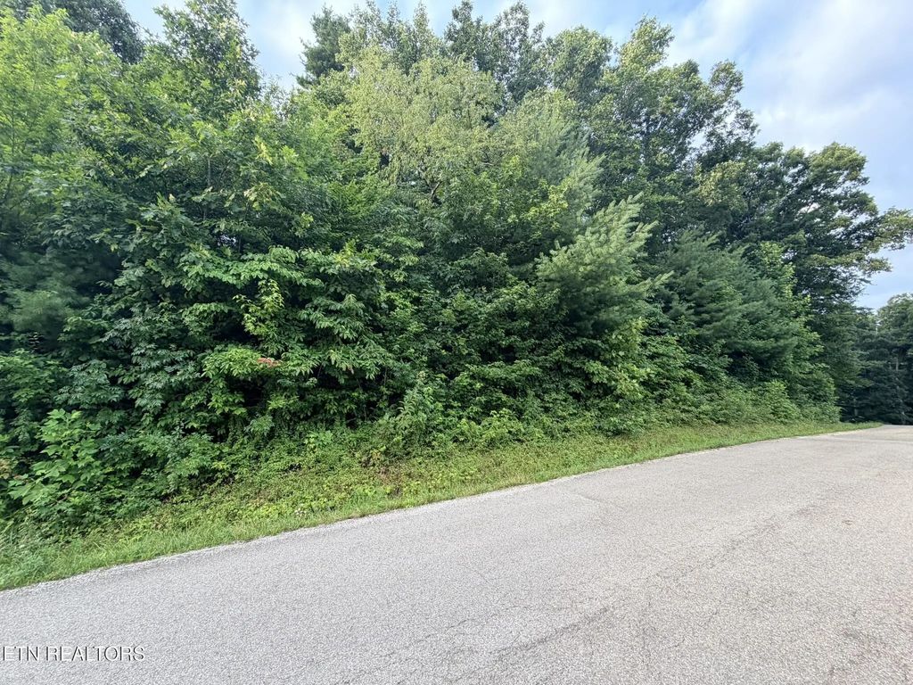 Lot 1 Evergreen Drive, Oneida