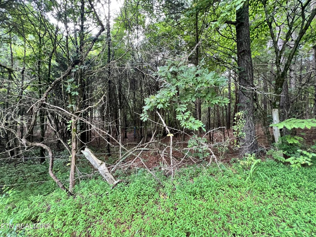 Lot 7 Willie Prigmore Rd, Decatur