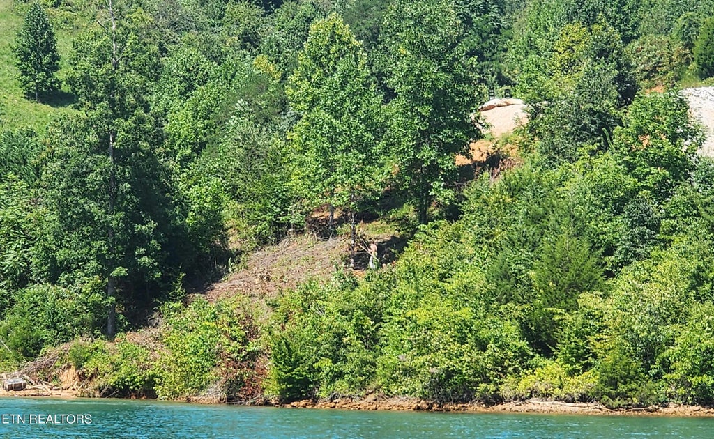 Lot 19 Cameron Loop, LaFollette