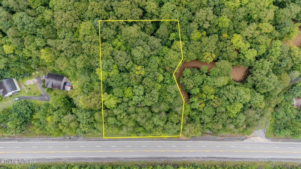 Lot 1  8310  Us Hwy 119, Calvin
