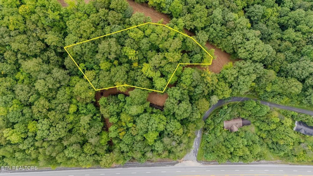 Lot 3  8314 Us Hwy 119, Calvin