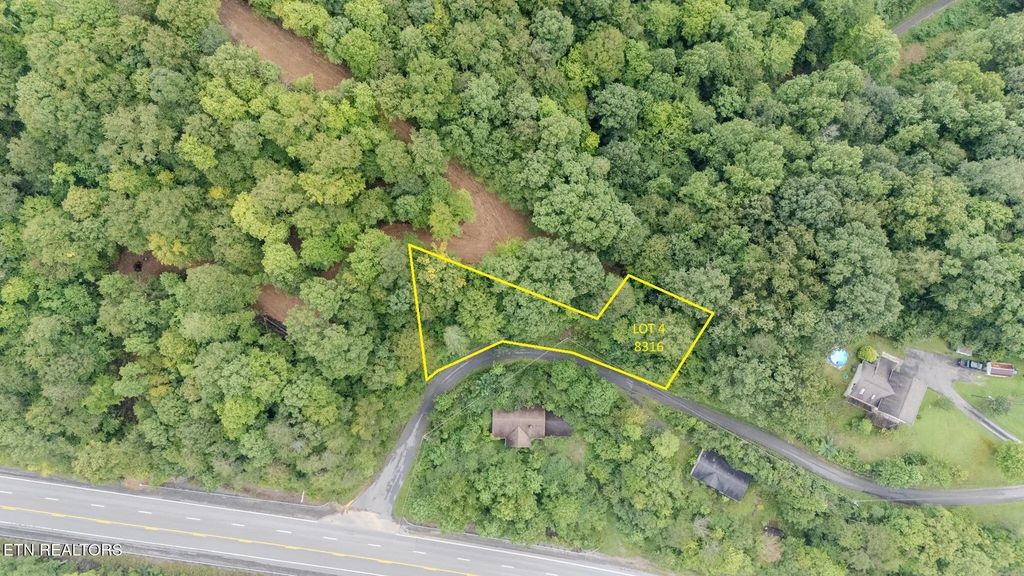 Lot 4 8316  Us Hwy 119, Calvin
